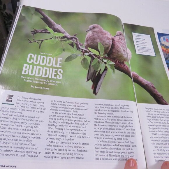 Texas Parks & Wildlife MARCH 2021 magazine (Fishing, Caves, Mounting Biking) - Picture 7 of 16